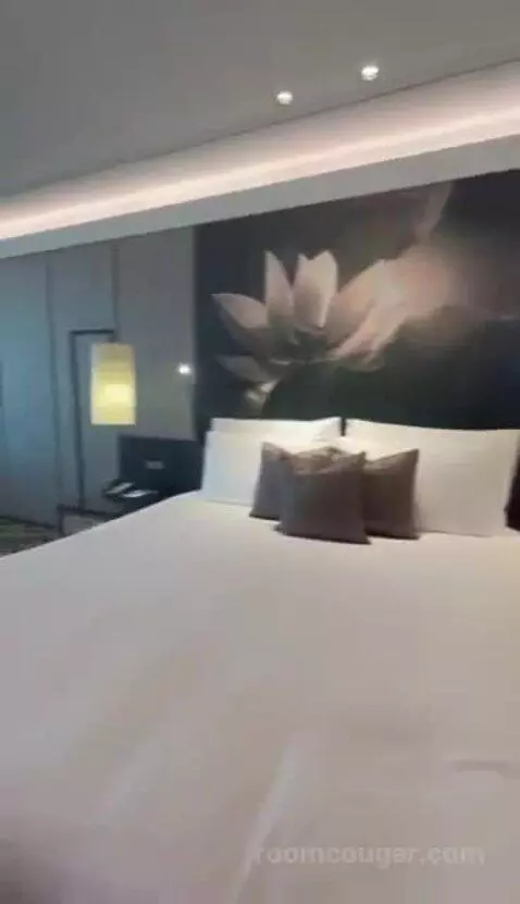 Deluxe Room with 1 King Bed bed picture #7