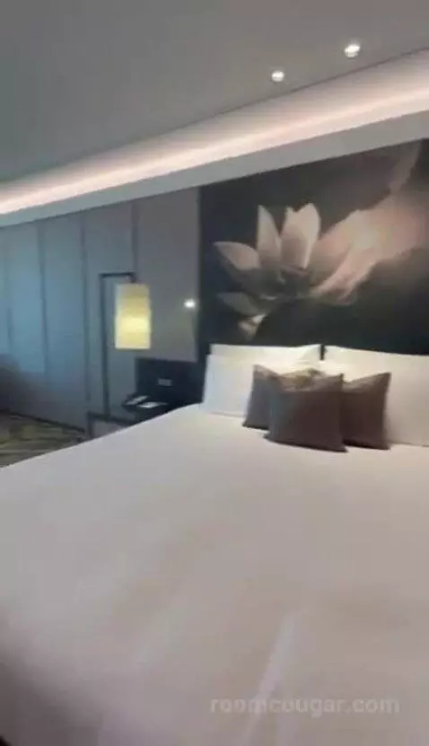 Deluxe Room with 1 King Bed bed picture #8