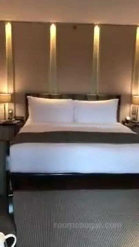 Superior King Room picture #24