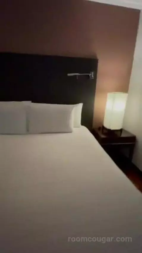 Deluxe Double Room bed picture #9