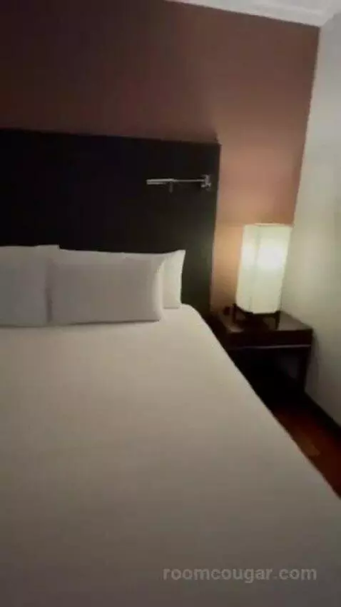 Deluxe Double Room bed picture #10