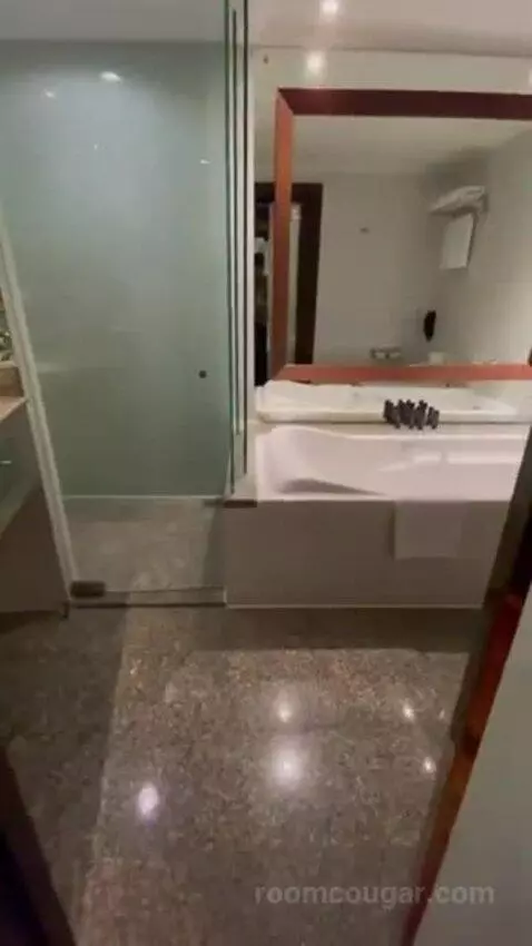 Deluxe Double Room bathroom picture #1
