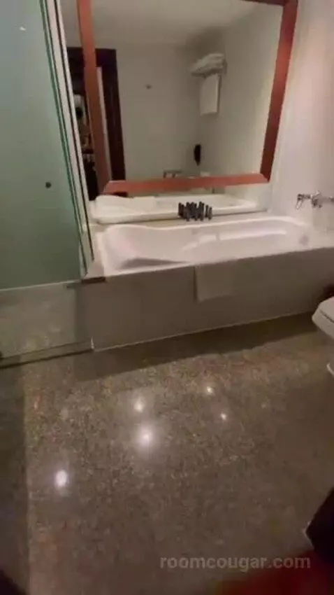 Deluxe Double Room bathroom picture #2