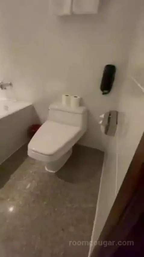 Deluxe Double Room bathroom picture #3