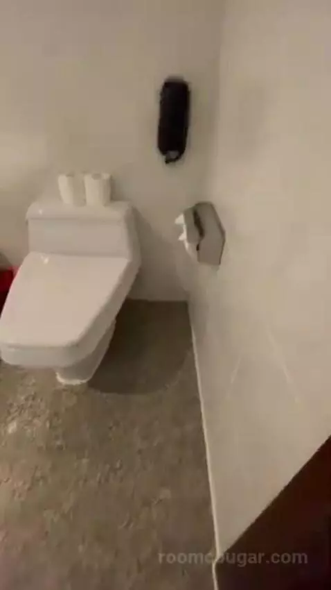 Deluxe Double Room bathroom picture #4