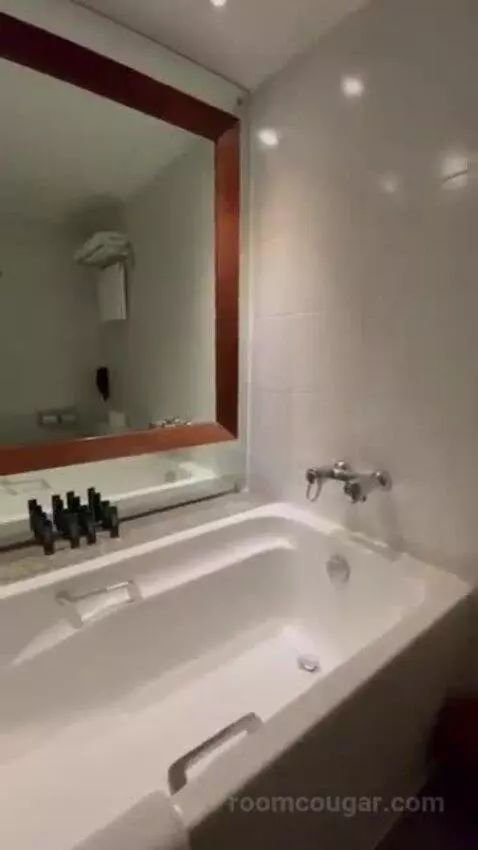Deluxe Double Room bathroom picture #6