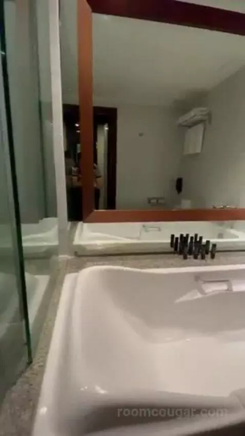 Deluxe Double Room bathroom picture #7