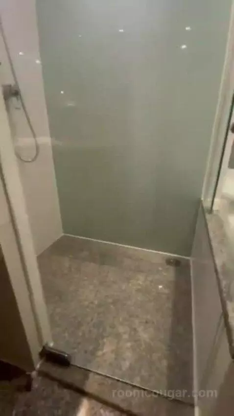 Deluxe Double Room bathroom picture #8