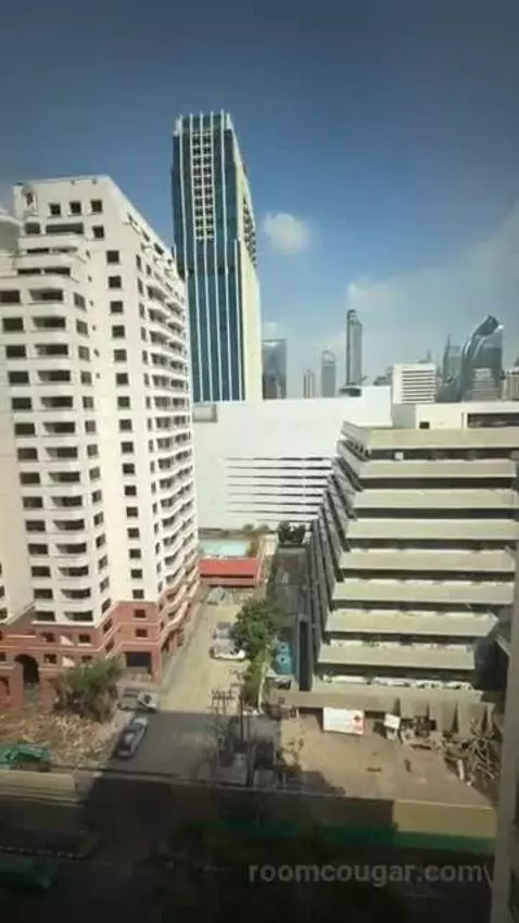 Deluxe Double Room with City View view picture #5