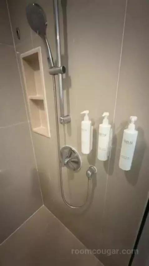 Deluxe Double Room with City View bathroom picture #8