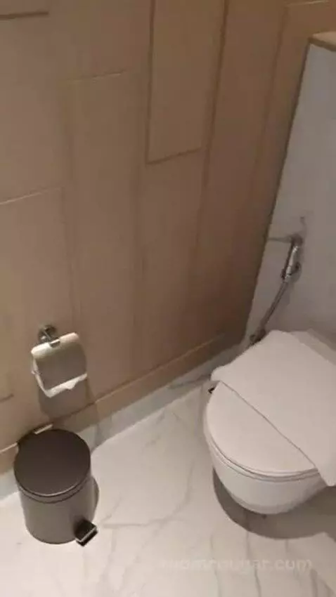 Deluxe King Room bathroom picture #7