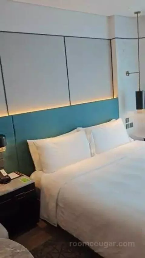 Deluxe King Room bed picture #1