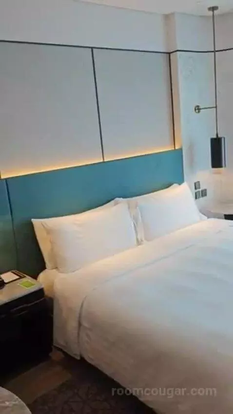 Deluxe King Room bed picture #2