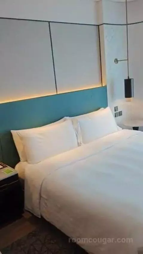 Deluxe King Room bed picture #3