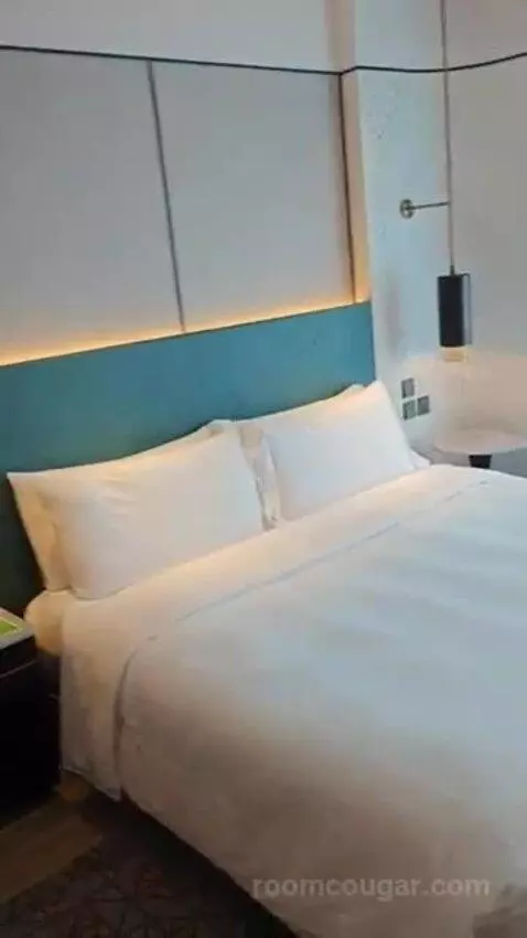 Deluxe King Room bed picture #4