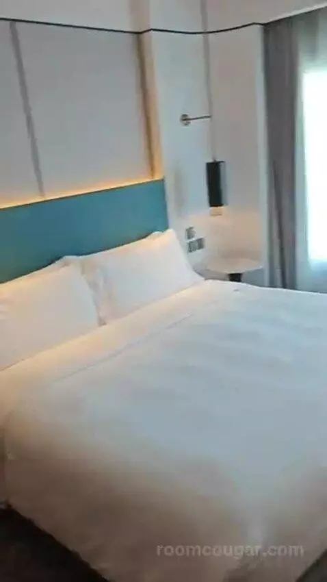 Deluxe King Room bed picture #5