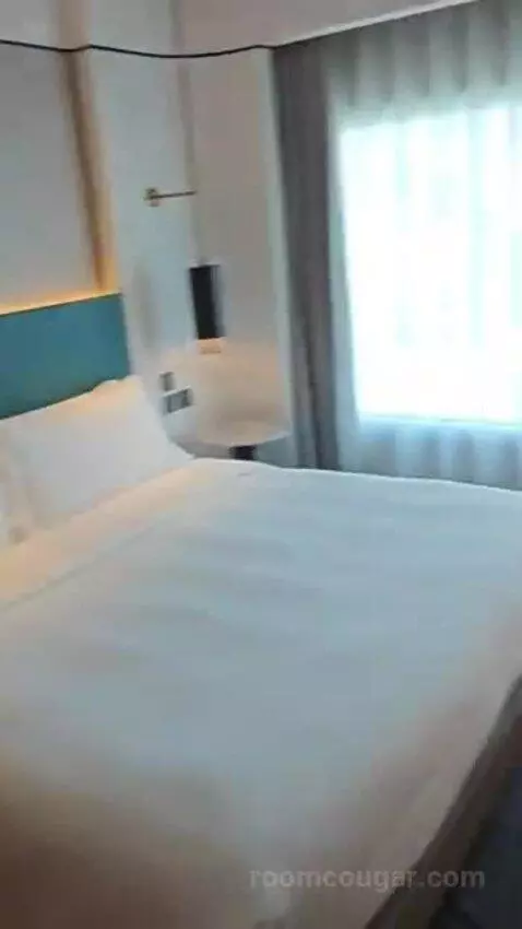 Deluxe King Room bed picture #6