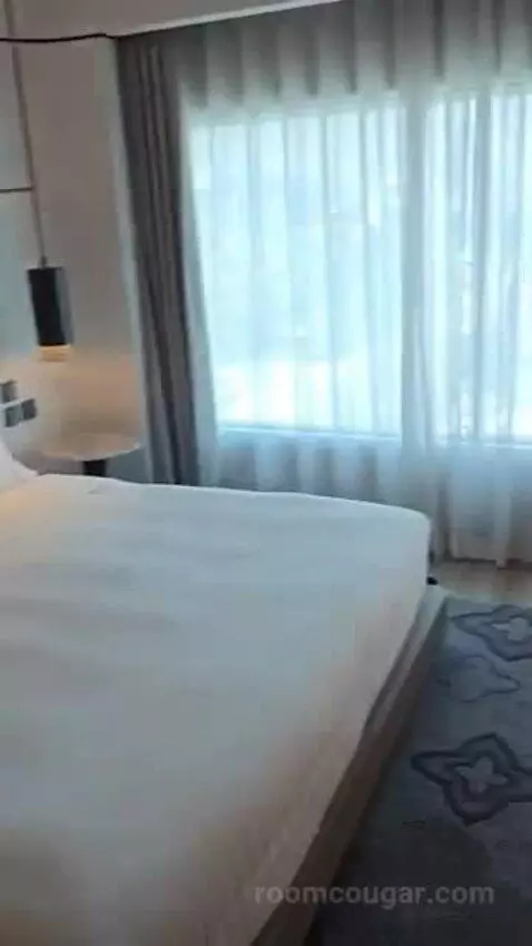 Deluxe King Room bed picture #7