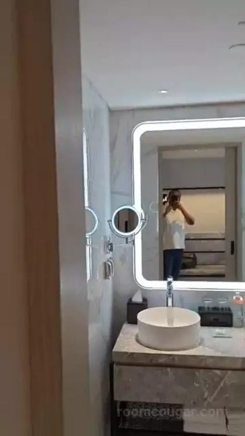 Deluxe King Room bathroom picture #1
