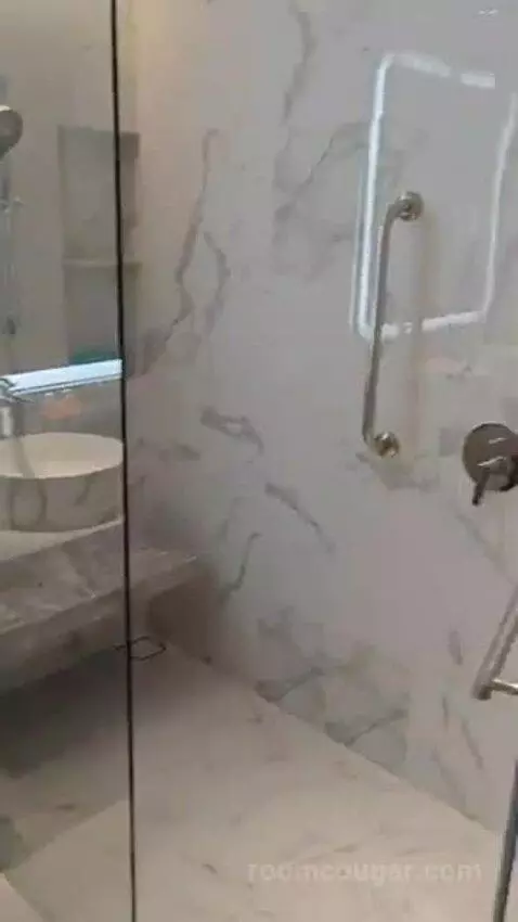 Deluxe King Room bathroom picture #4