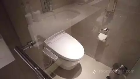 Deluxe Room bathroom picture #1