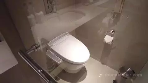 Deluxe Room bathroom picture #2