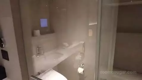 Deluxe Room bathroom picture #3