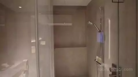 Deluxe Room bathroom picture #5