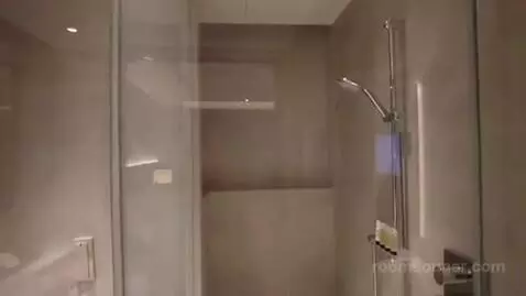 Deluxe Room bathroom picture #8