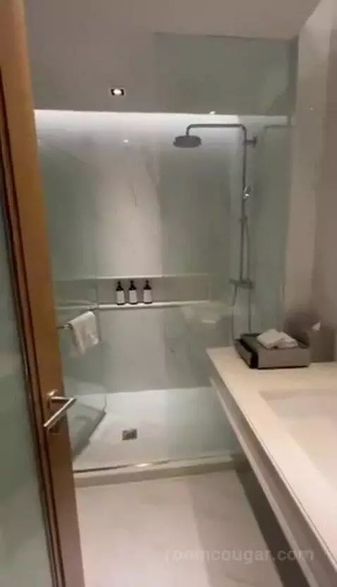 Deluxe King bathroom picture #1
