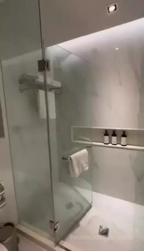 Deluxe King bathroom picture #3