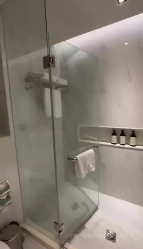 Deluxe King bathroom picture #4