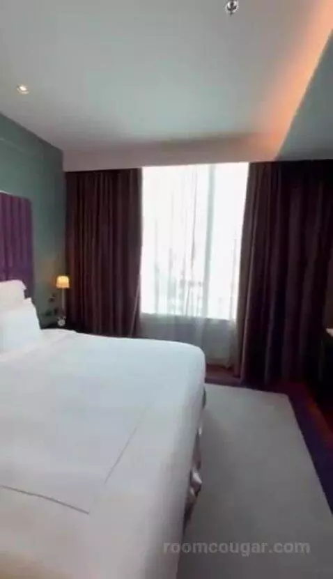 Deluxe King bed picture #7