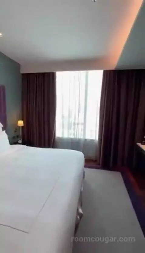 Deluxe King bed picture #8