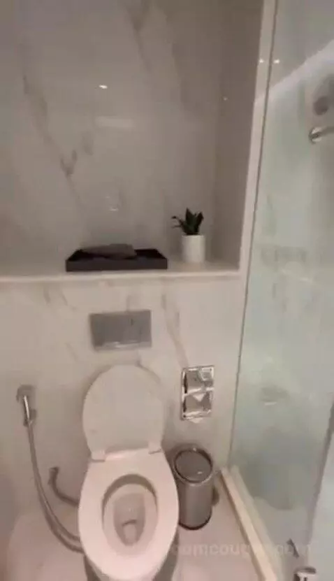 Deluxe King bathroom picture #5