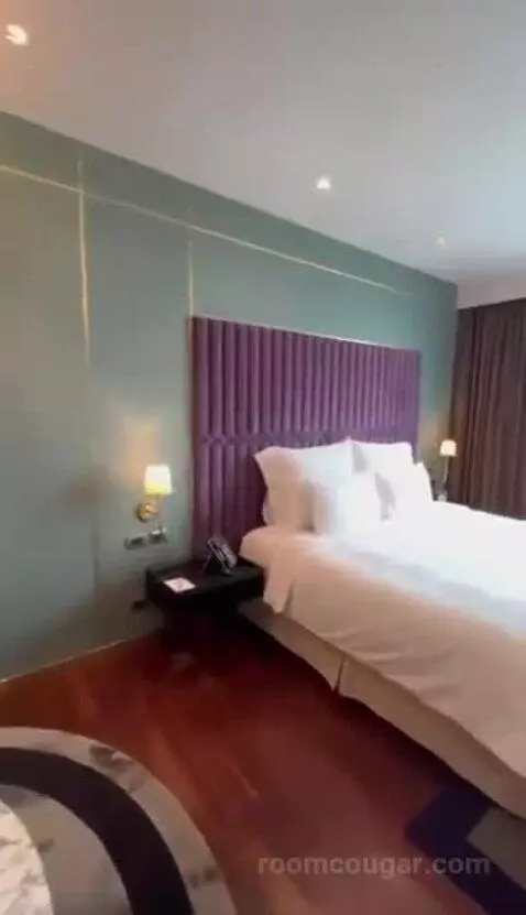 Deluxe King bed picture #5