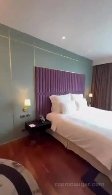 Deluxe King bed picture #6