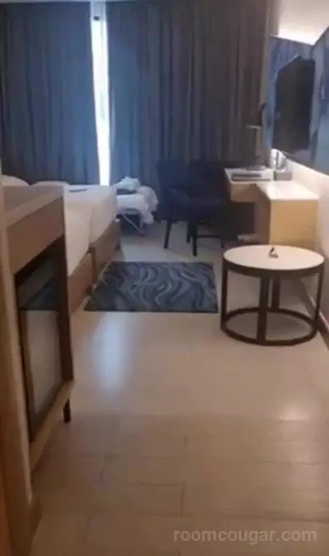 Deluxe Twin Room with City View view picture #3