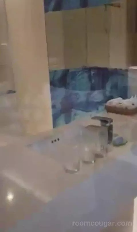 Deluxe Twin Room with City View bathroom picture #3