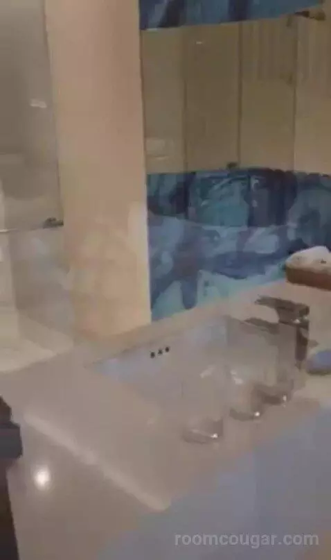 Deluxe Twin Room with City View bathroom picture #6
