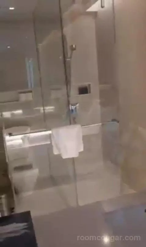Deluxe Twin Room with City View bathroom picture #8