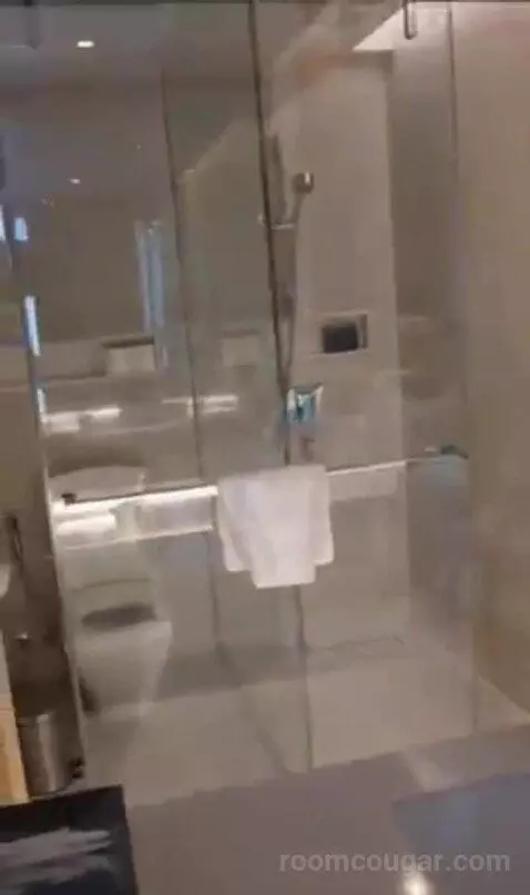 Deluxe Twin Room with City View bathroom picture #10