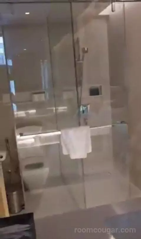Deluxe Twin Room with City View bathroom picture #11