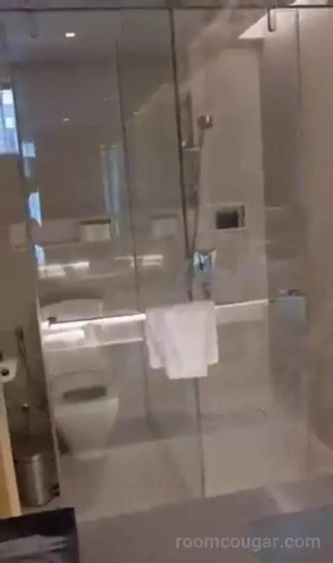 Deluxe Twin Room with City View bathroom picture #12