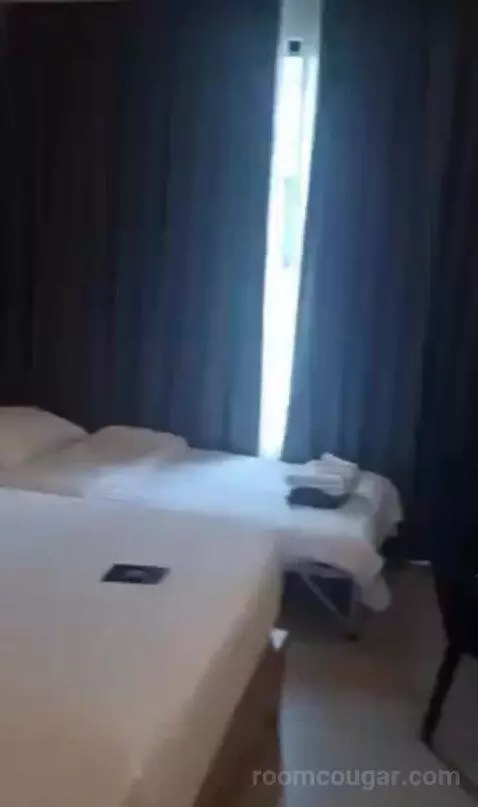 Deluxe Twin Room with City View bed picture #10
