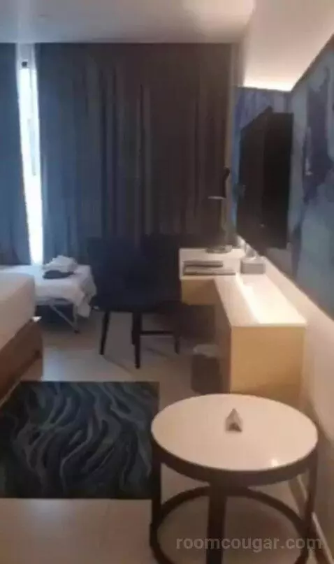 Deluxe Twin Room with City View view picture #6