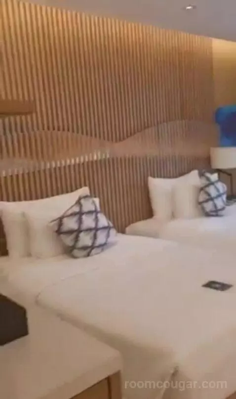 Deluxe Twin Room with City View bed picture #6