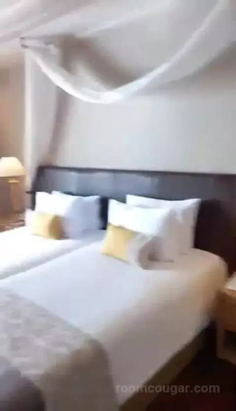 Regency Suite (1 Bedroom) bed picture #4