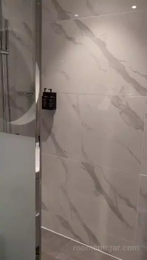 One-Bedroom Suite bathroom picture #6