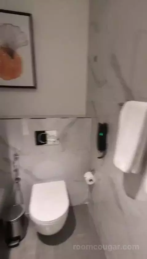 One-Bedroom Suite bathroom picture #9